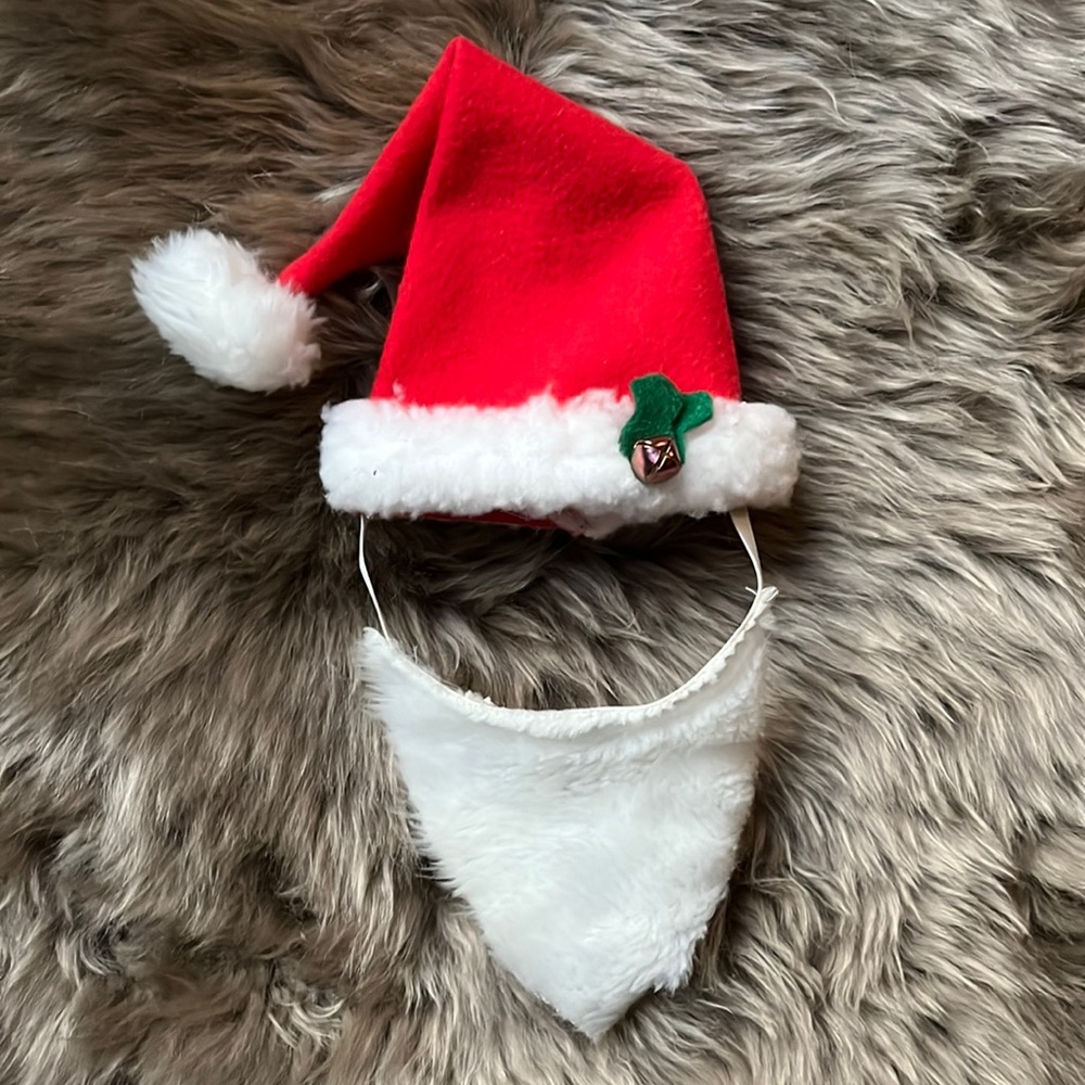 Dog Santa hat and beard